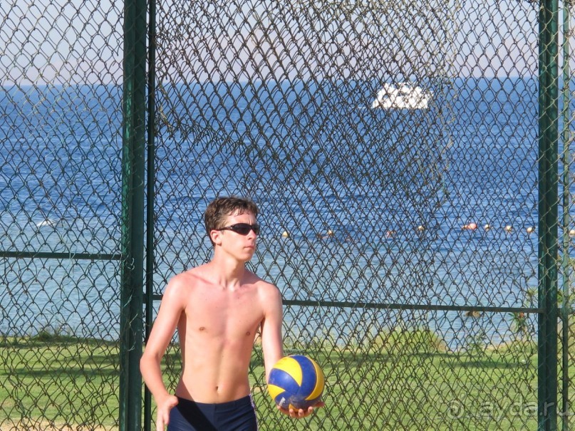 фото Delfinia Hotel