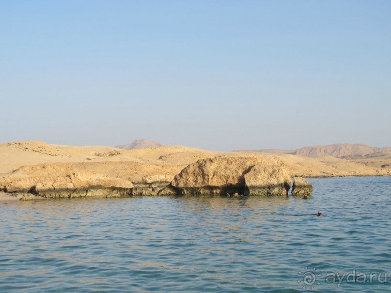 фото Delfinia Hotel