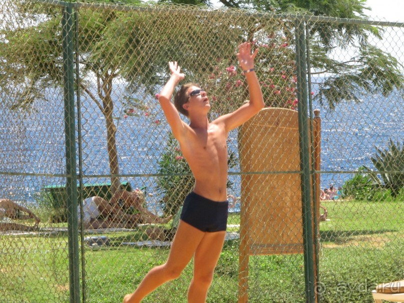 фото Delfinia Hotel