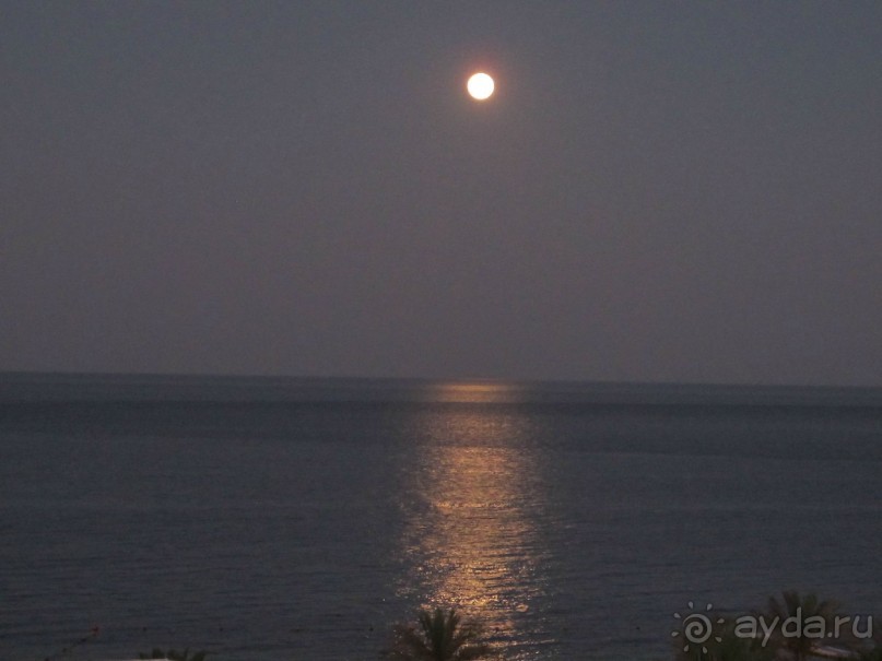 фото Delfinia Hotel