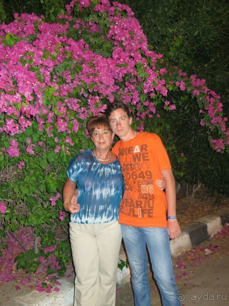 фото Delfinia Hotel