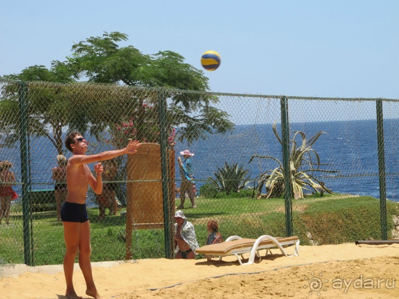 фото Delfinia Hotel