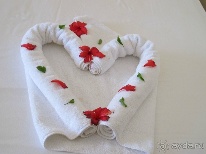 фото Delfinia Hotel