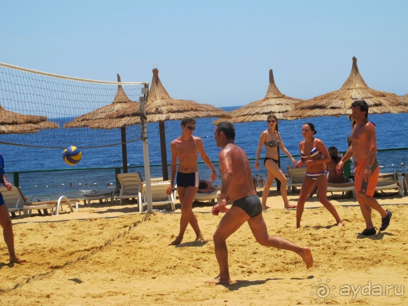 фото Delfinia Hotel