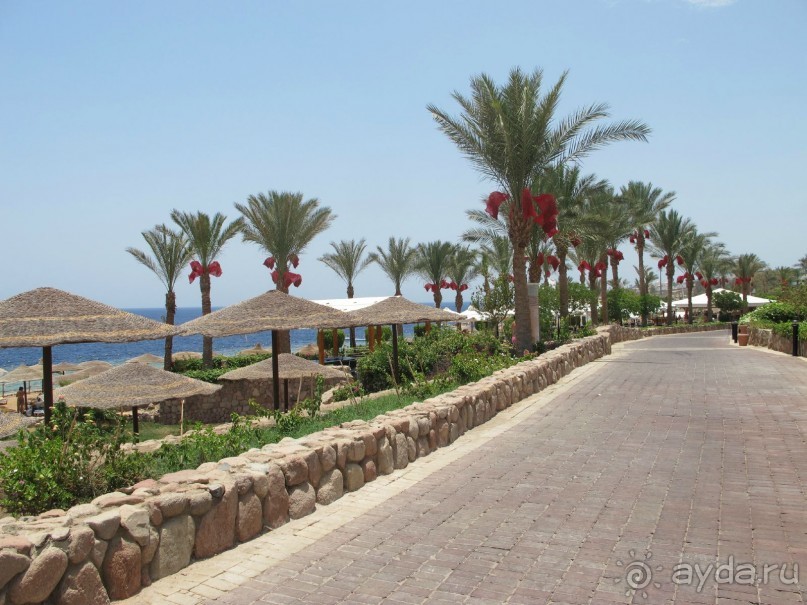 фото Delfinia Hotel