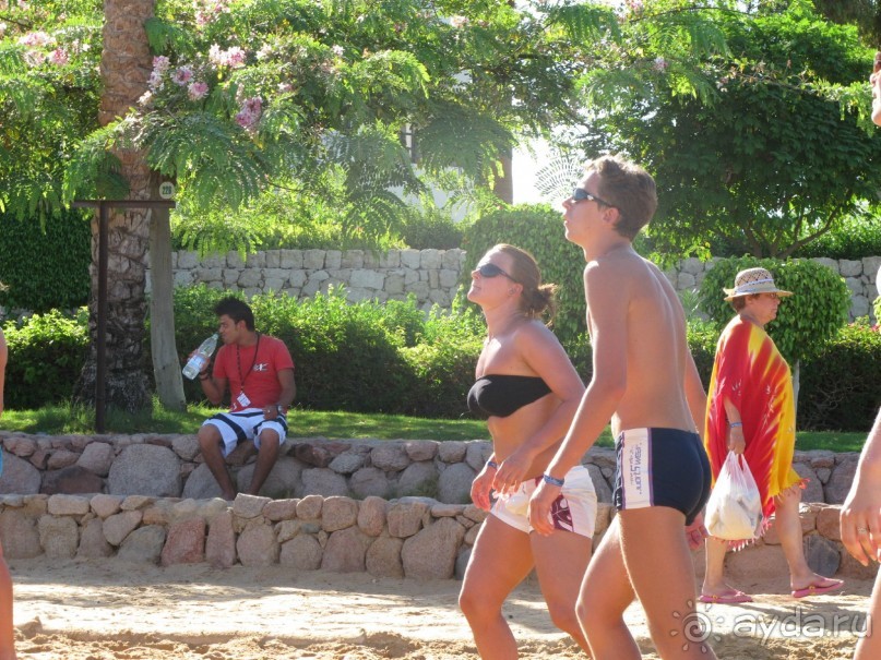 фото Delfinia Hotel