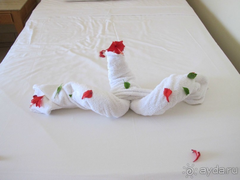 фото Delfinia Hotel