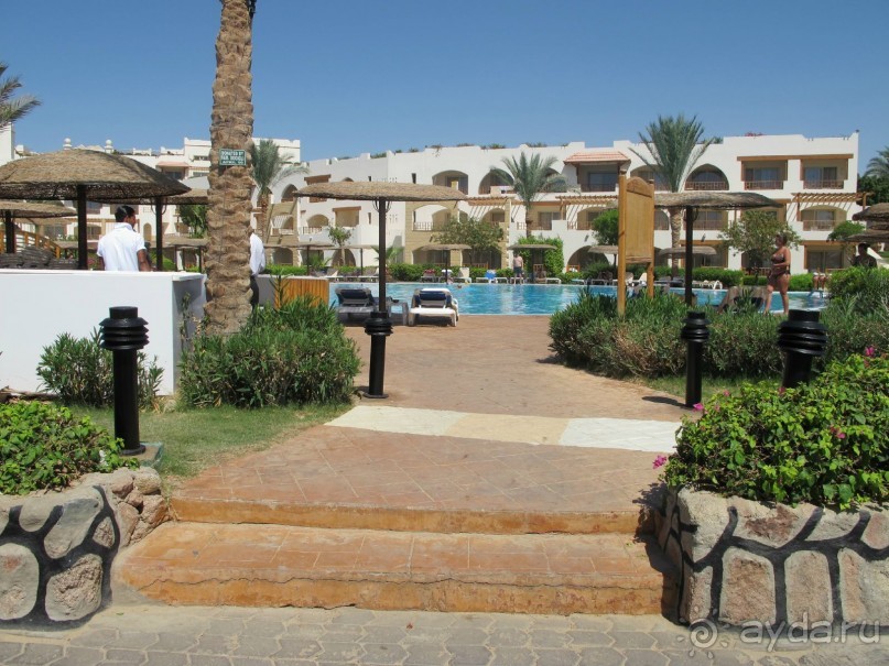 фото Delfinia Hotel