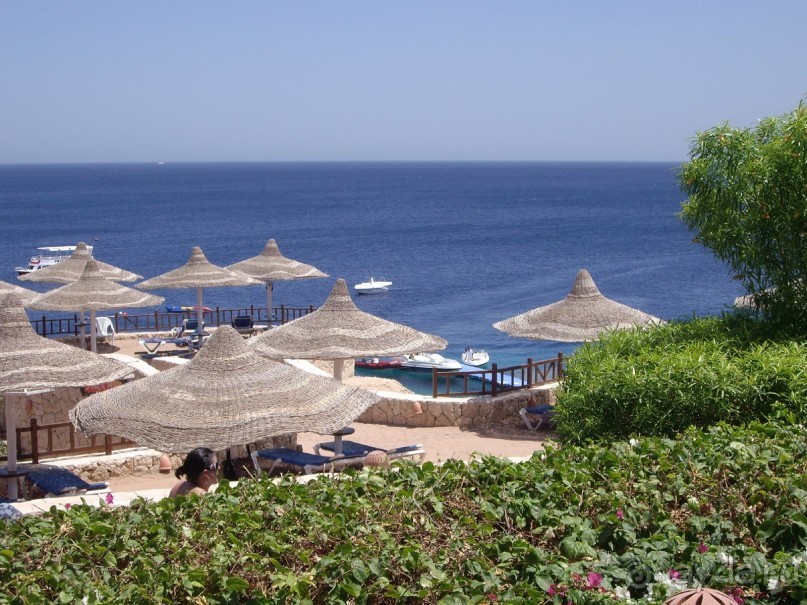 фото DoubleTree by Hilton Sharks Bay Resort