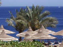 фото DoubleTree by Hilton Sharks Bay Resort