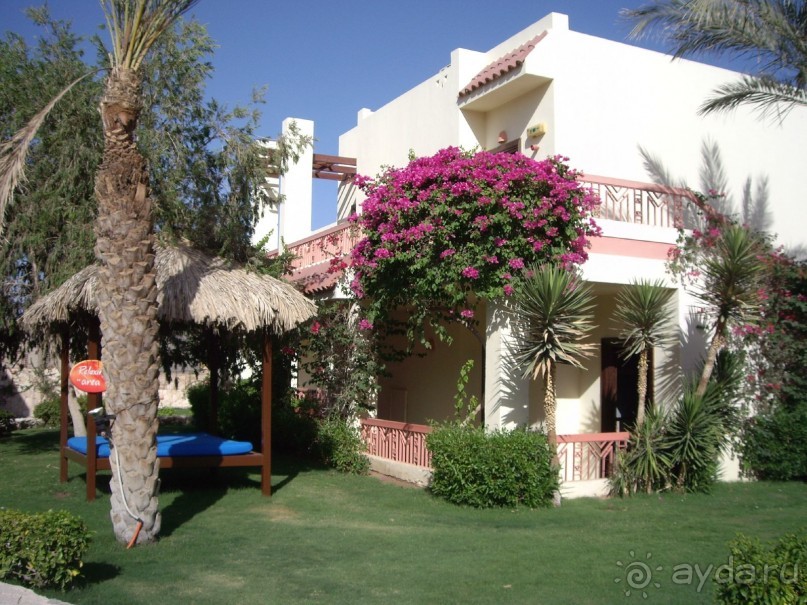 Спокойный Хилтон