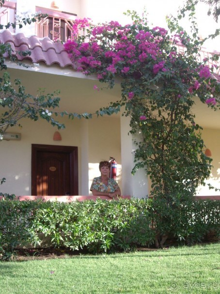 Спокойный Хилтон