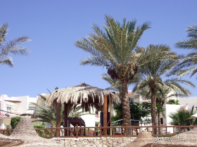 Спокойный Хилтон