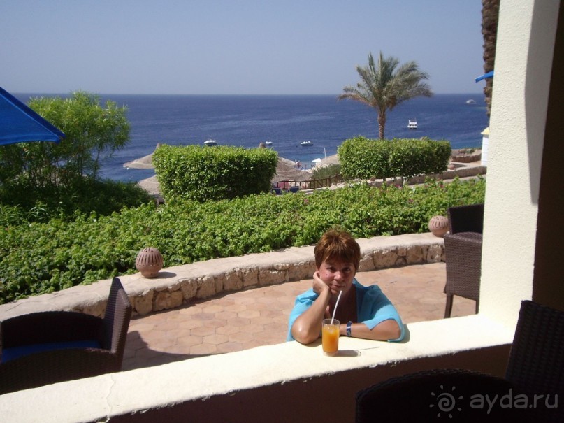 Спокойный Хилтон