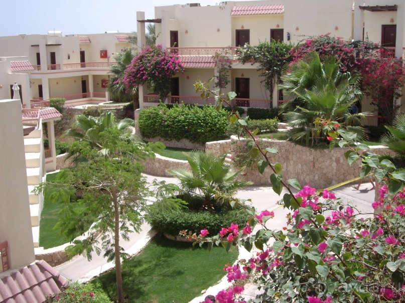 Спокойный Хилтон