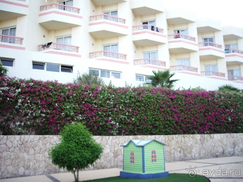 Спокойный Хилтон