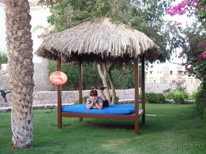 Спокойный Хилтон