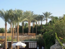 фото The Grand Hotel Sharm El Sheikh