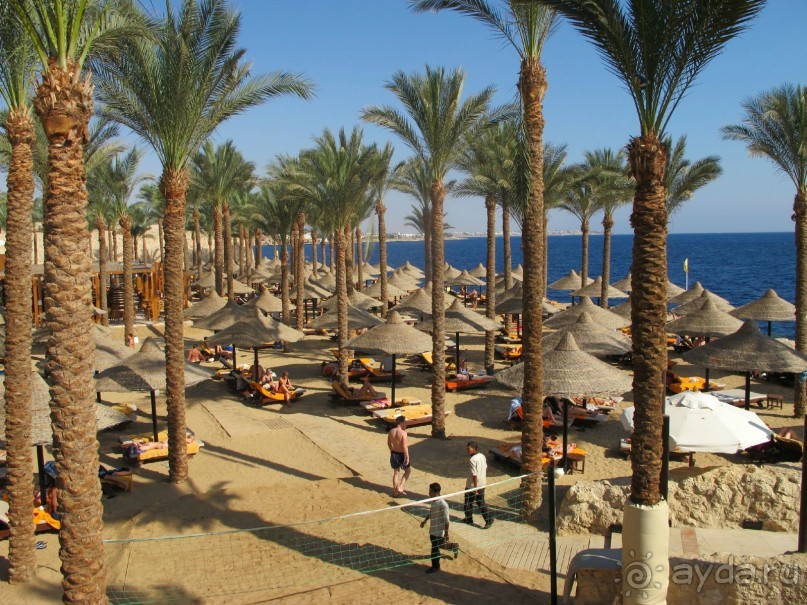 фото The Grand Hotel Sharm El Sheikh