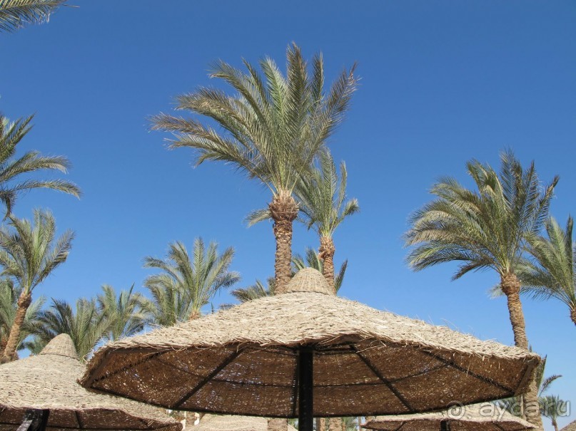 фото The Grand Hotel Sharm El Sheikh