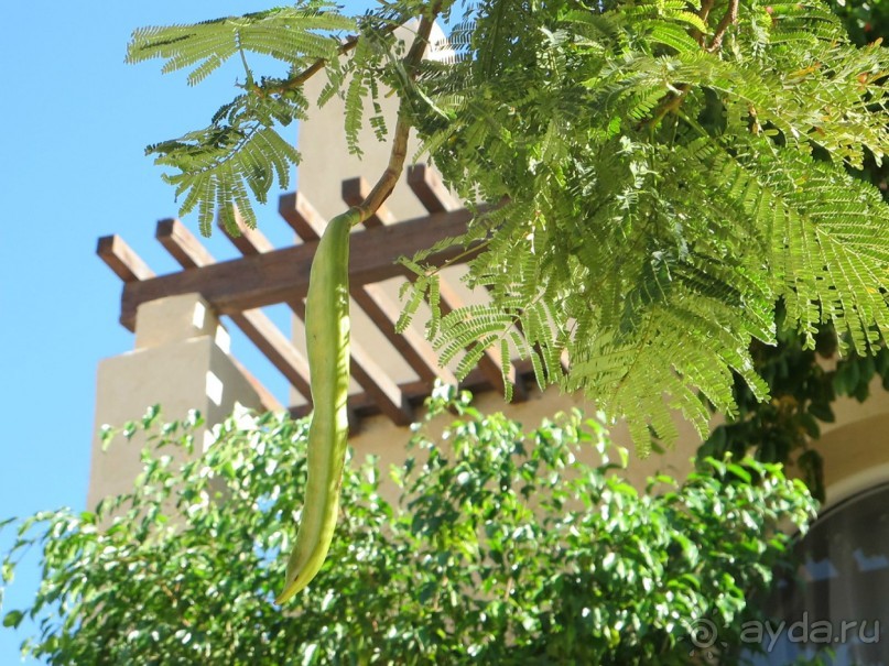 фото Aldemar Royal Mare Luxury Resort & Thalasso