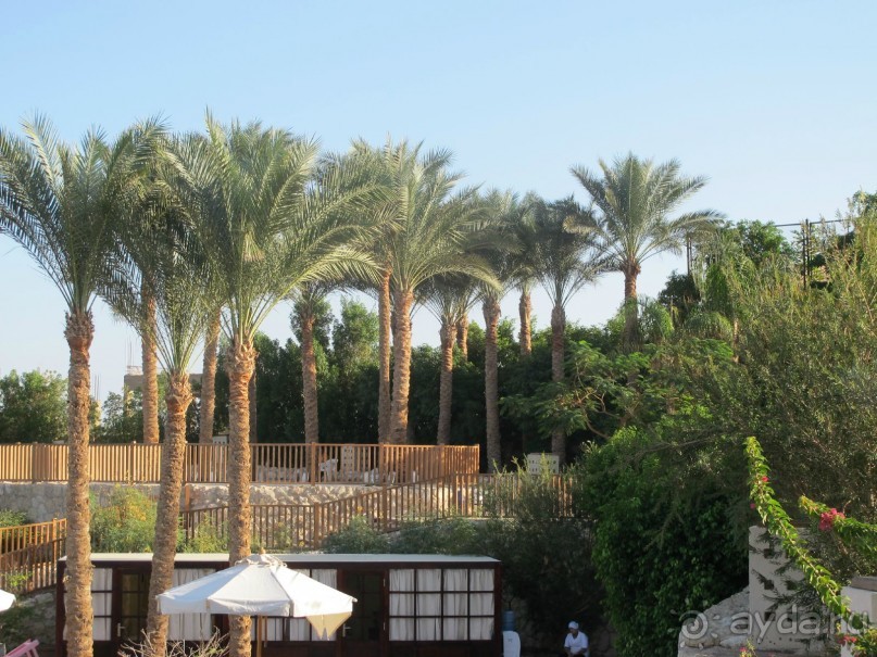 фото Aldemar Royal Mare Luxury Resort & Thalasso