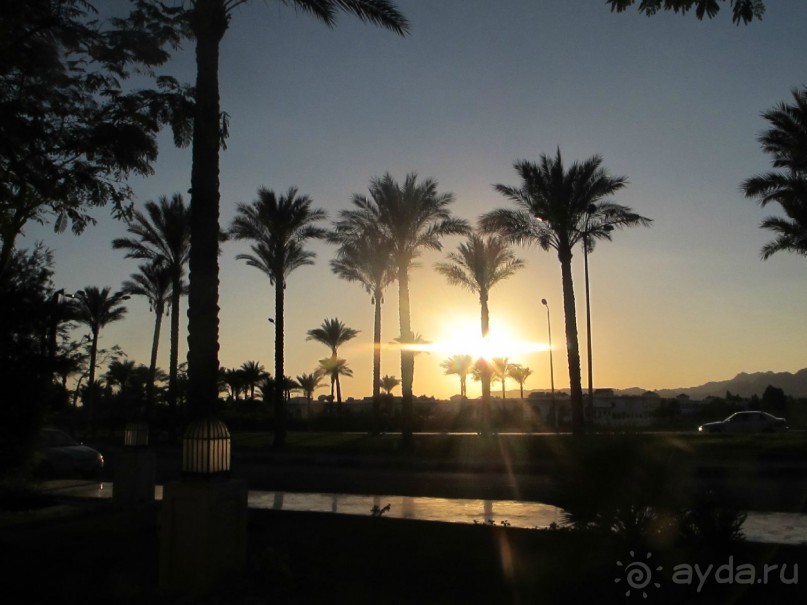 фото Aldemar Royal Mare Luxury Resort & Thalasso