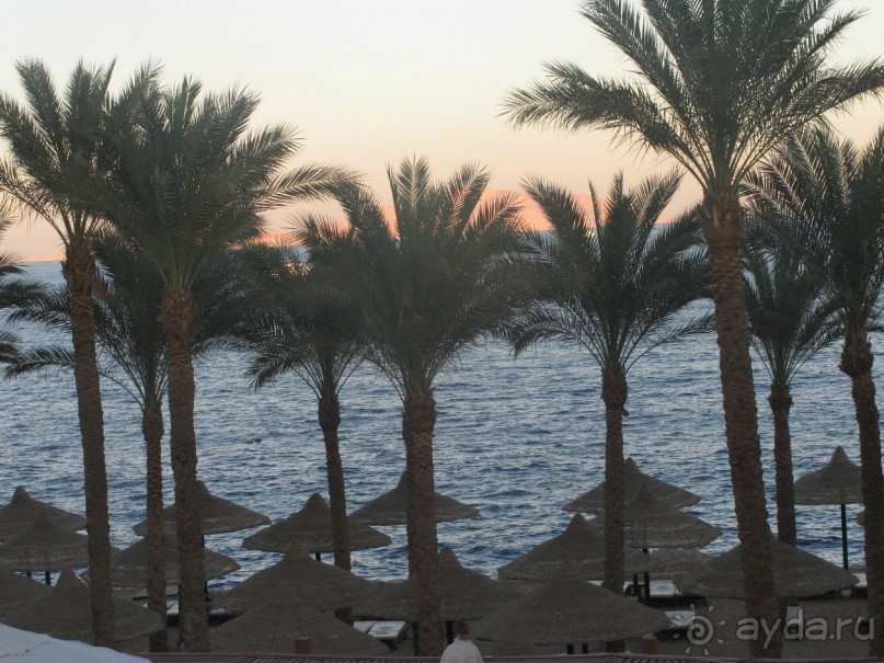 фото Aldemar Royal Mare Luxury Resort & Thalasso