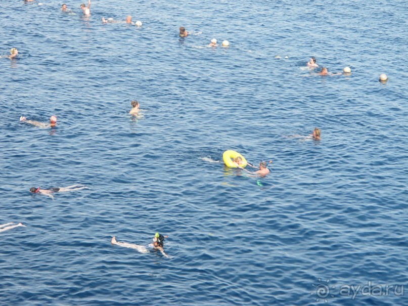 фото Aldemar Royal Mare Luxury Resort & Thalasso