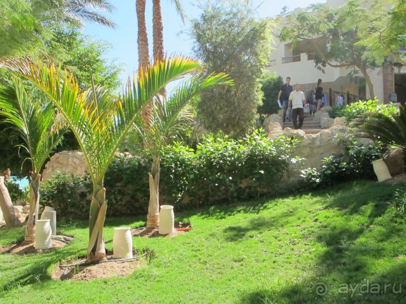 фото Aldemar Royal Mare Luxury Resort & Thalasso