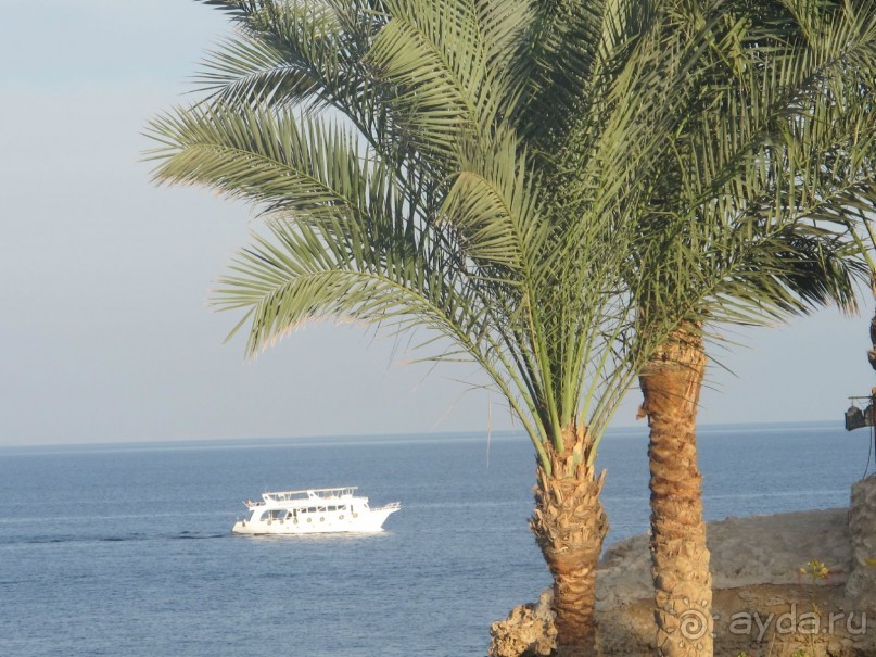 фото Aldemar Royal Mare Luxury Resort & Thalasso