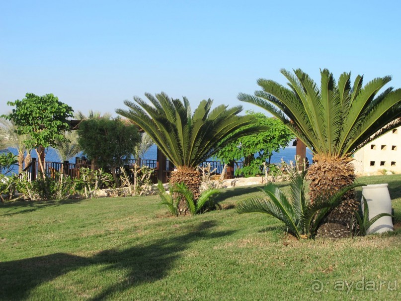 фото Aldemar Royal Mare Luxury Resort & Thalasso