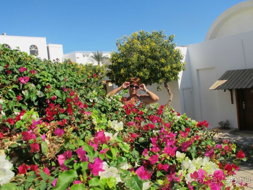 Неоднозначное впечатление