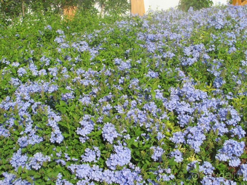 Неоднозначное впечатление