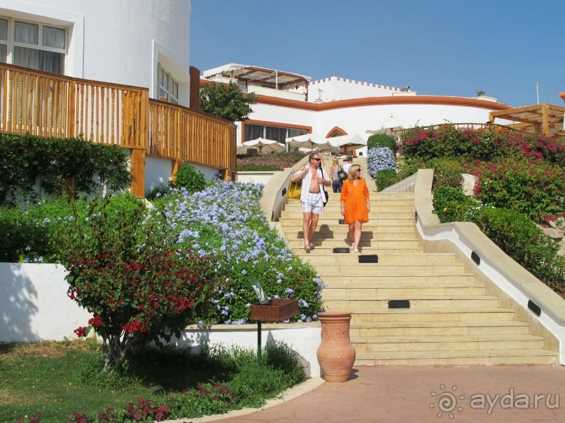 Неоднозначное впечатление