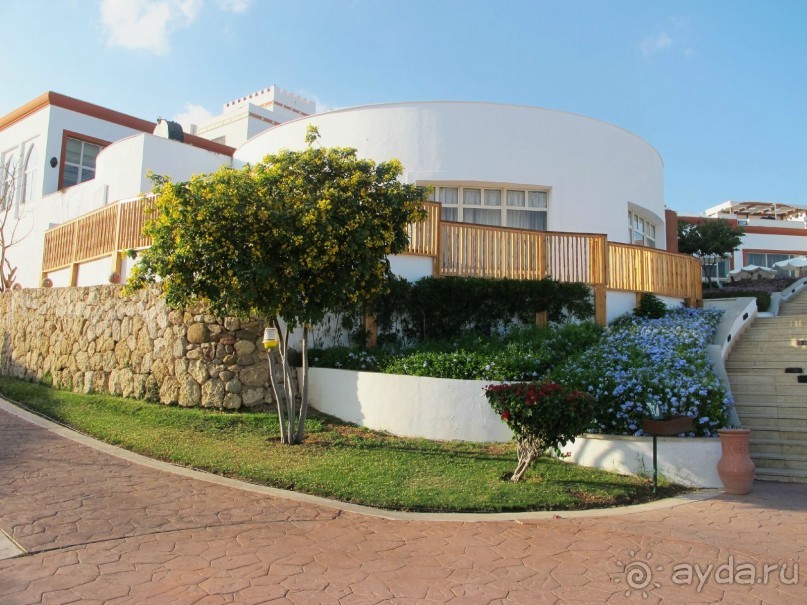 Неоднозначное впечатление