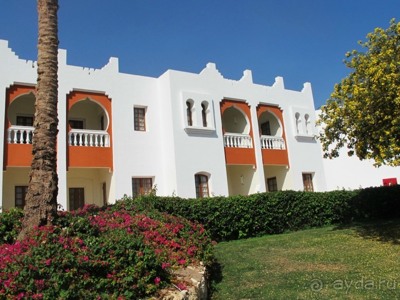 Неоднозначное впечатление