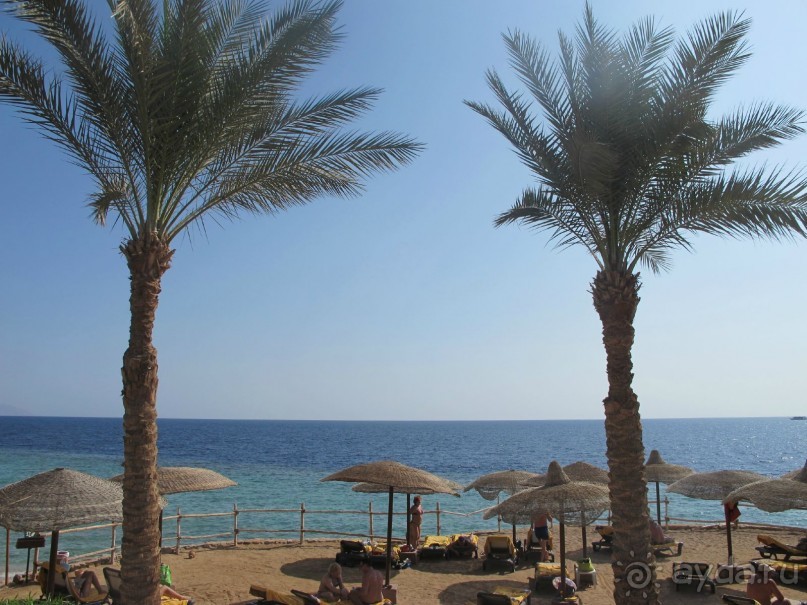 Неоднозначное впечатление