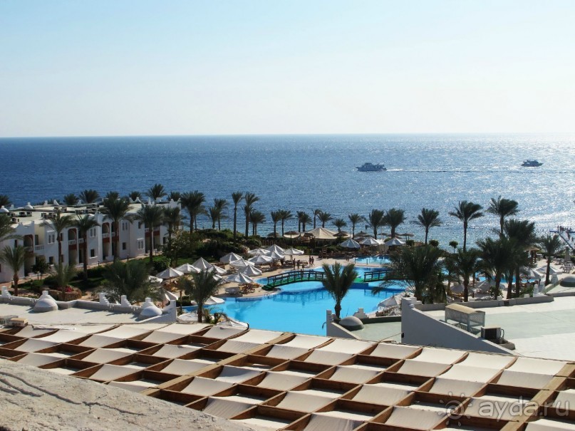 Неоднозначное впечатление