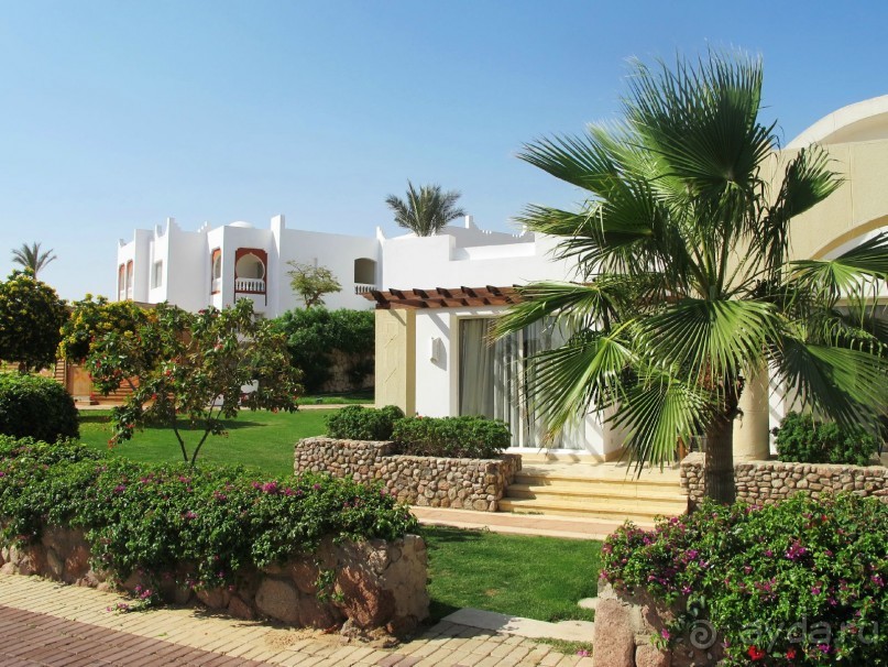 Неоднозначное впечатление