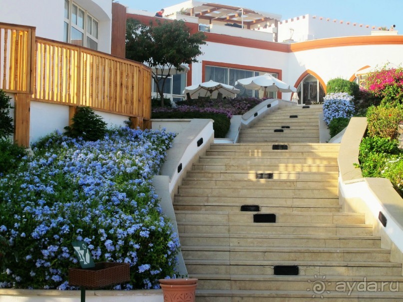 Неоднозначное впечатление