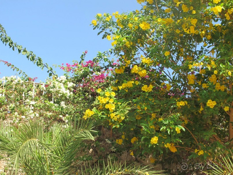 Неоднозначное впечатление