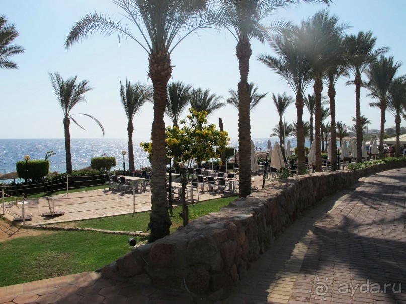 Неоднозначное впечатление