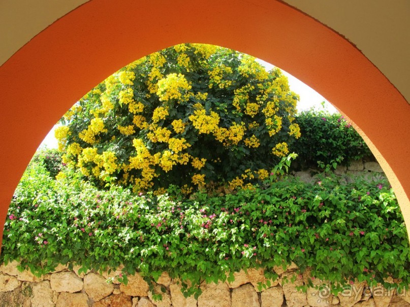 Неоднозначное впечатление