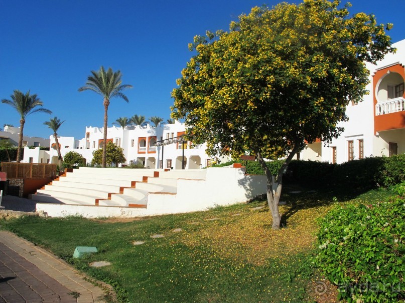 Неоднозначное впечатление