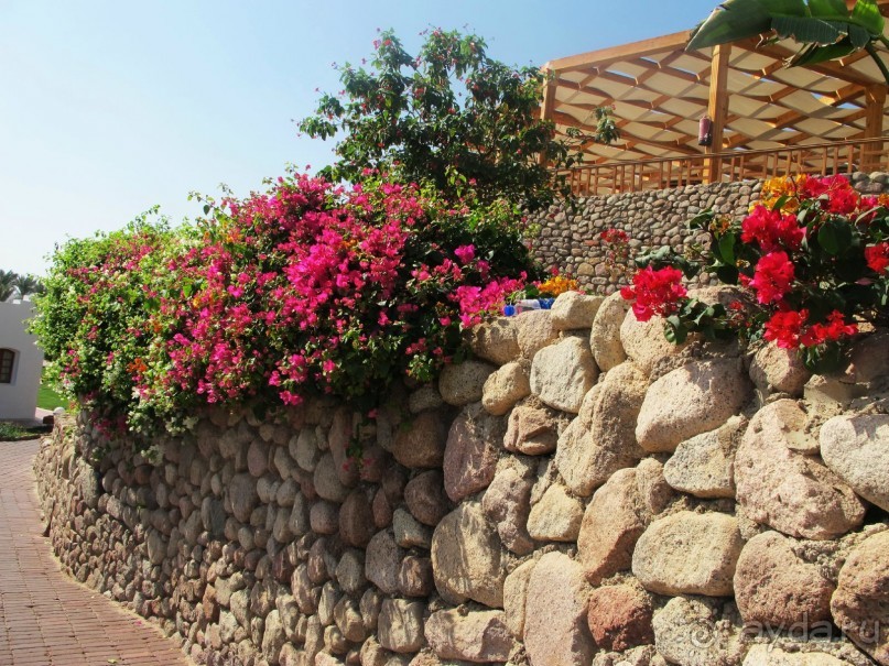 Неоднозначное впечатление