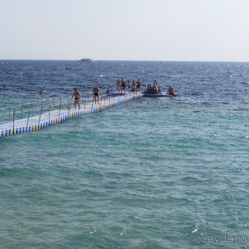 Неоднозначное впечатление