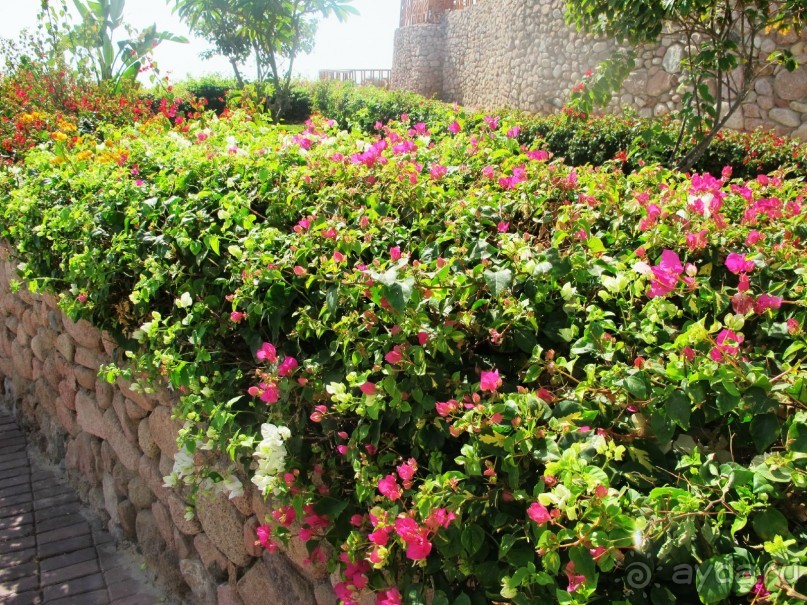 Неоднозначное впечатление