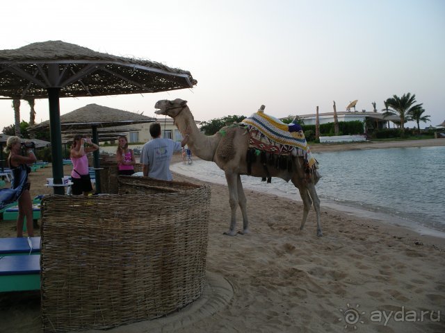 фото Golden Beach Resort 