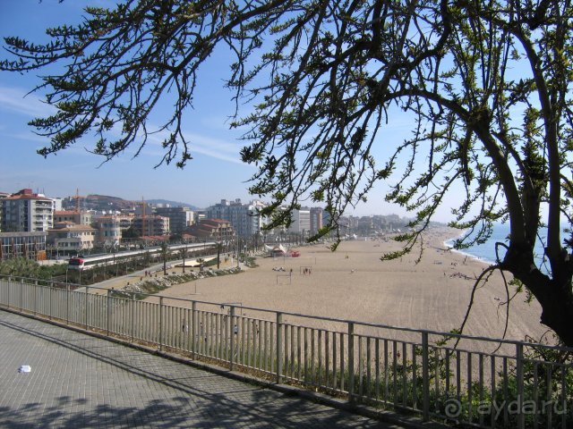 Kaktus Playa (Calella)